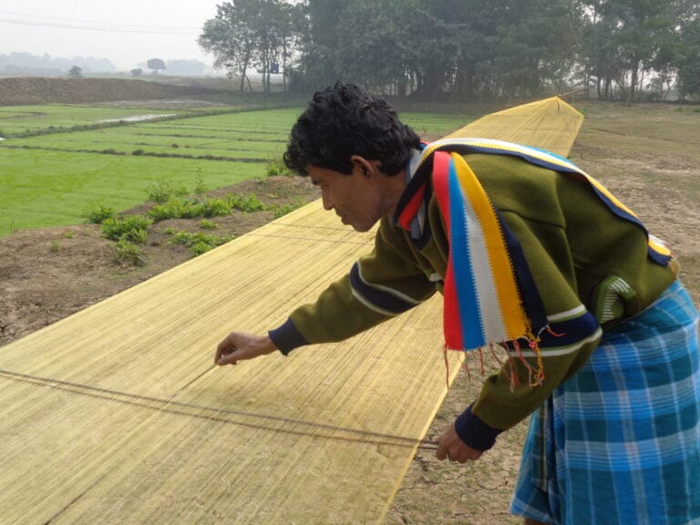 Man inspecting drying silk fibers in rural field