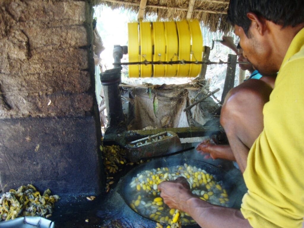 Man reeling silk from cocoons in workshop